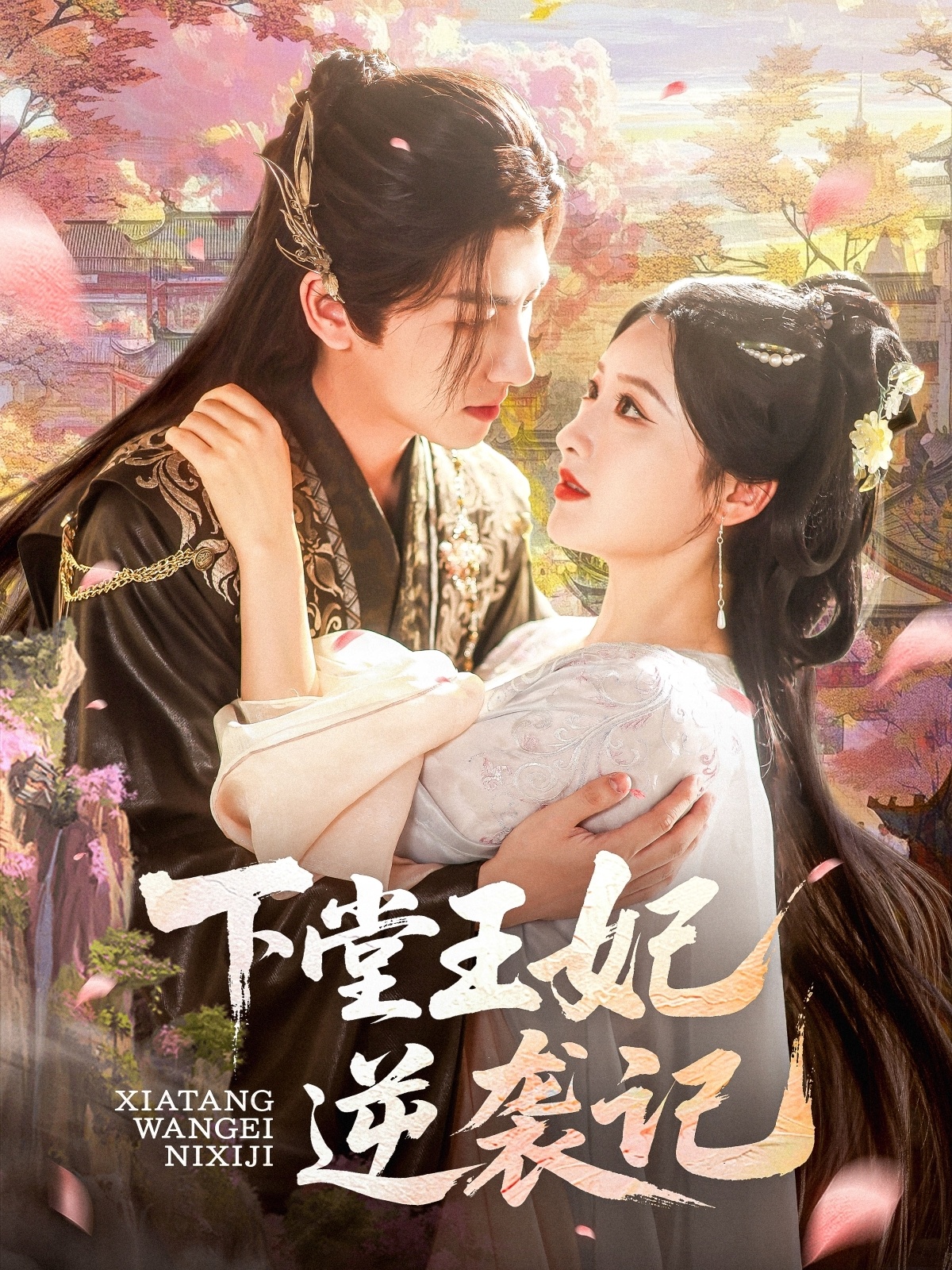 下堂王妃逆袭记