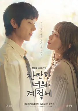 在你的灿烂季节