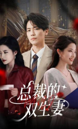 总裁的双生妻