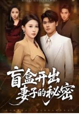 盲盒开出妻子的秘密