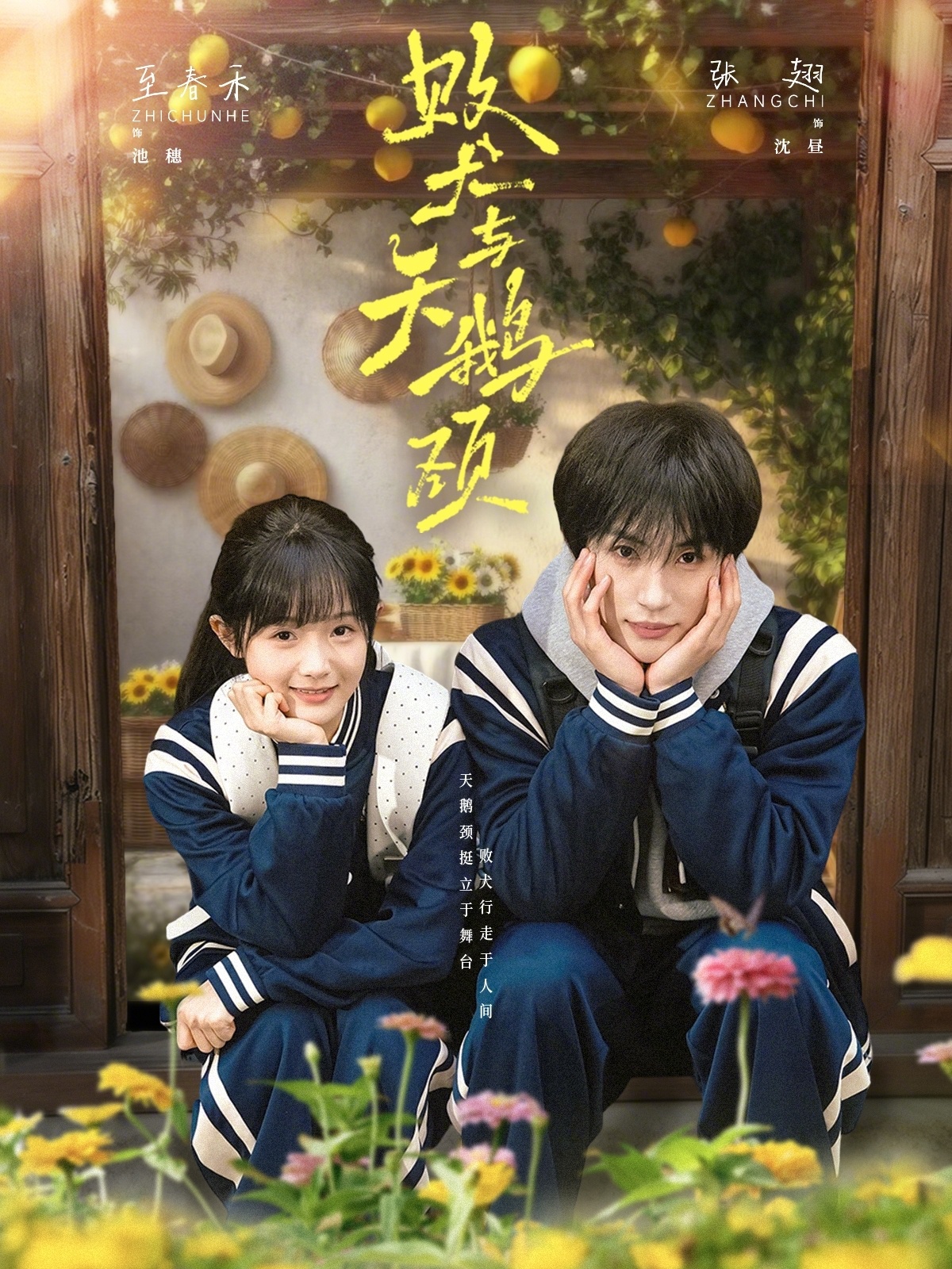 败犬与天鹅颈
