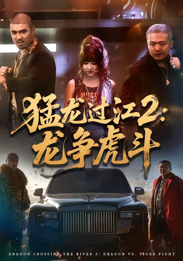 猛龙过江2：龙争虎斗