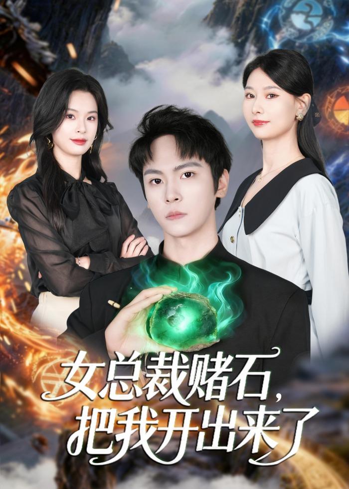 女总裁赌石-把我开出来了