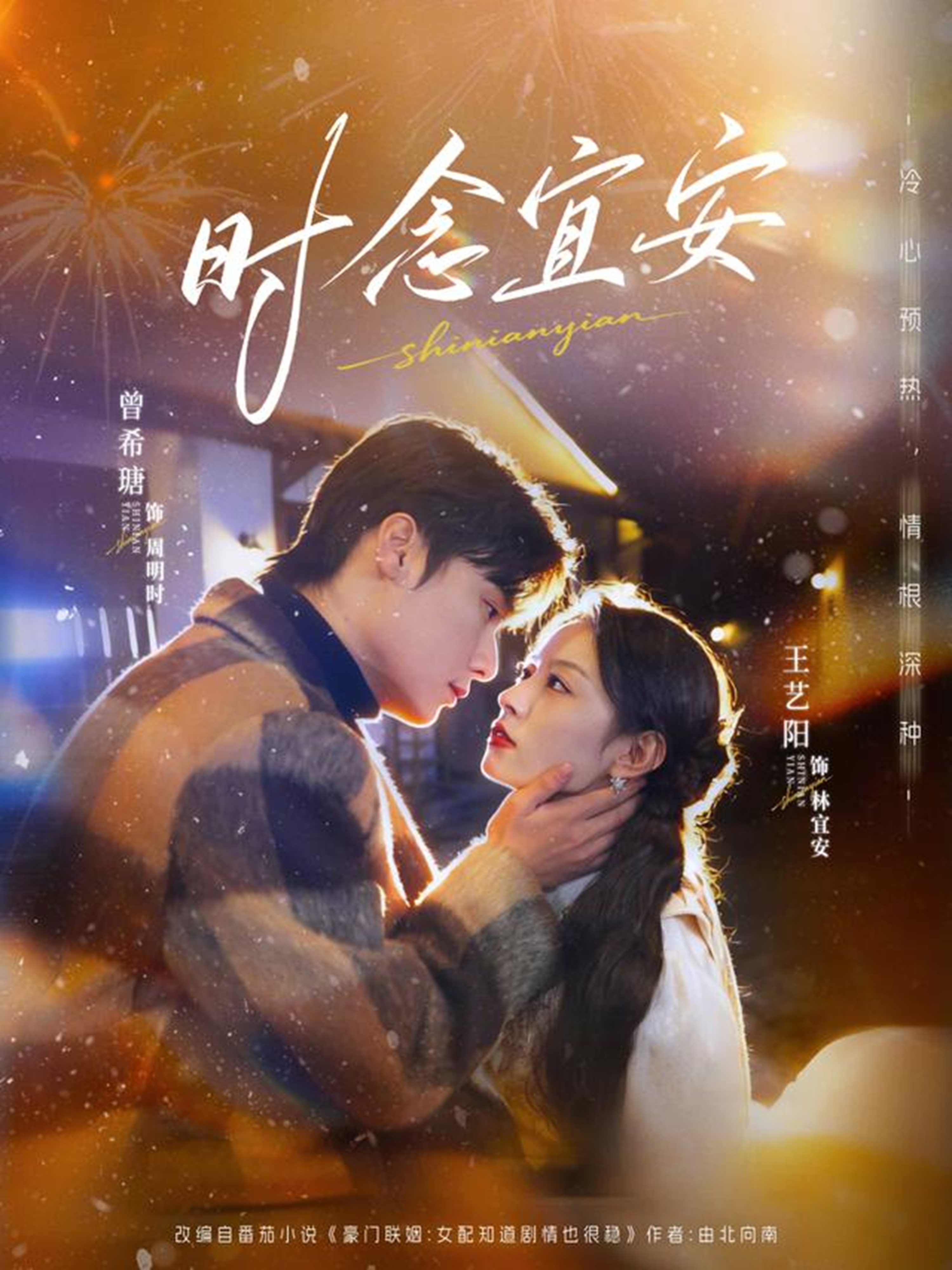 时念宜安