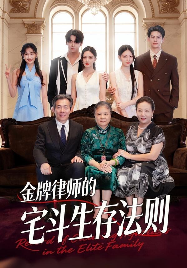 金牌律师的宅斗生存法则