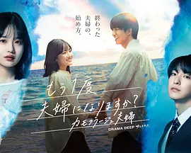 要再做一次夫妇吗？～伪装夫妇～