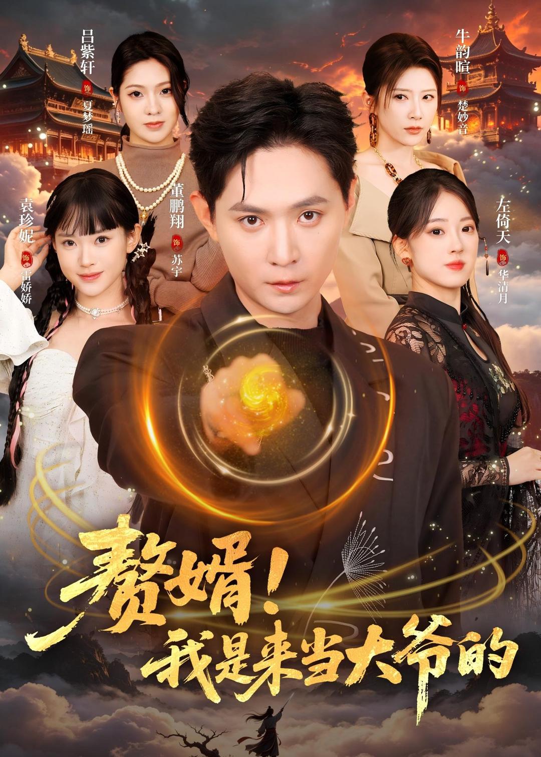 赘婿，我是来当大爷的