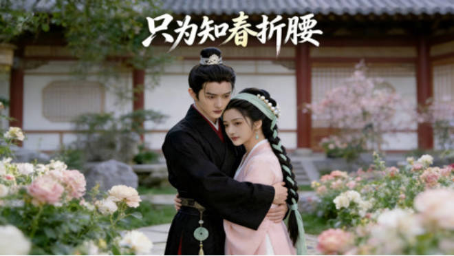 只为知春折腰 Ai